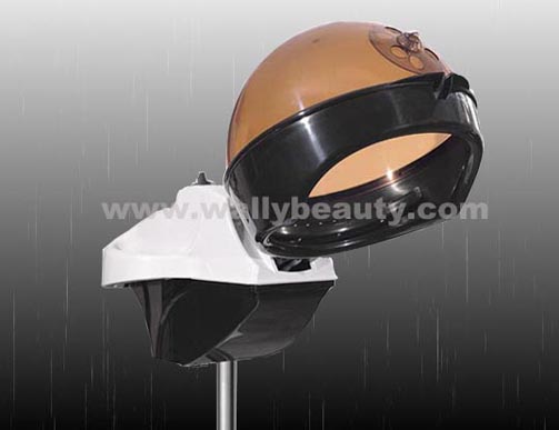 Hair steamer