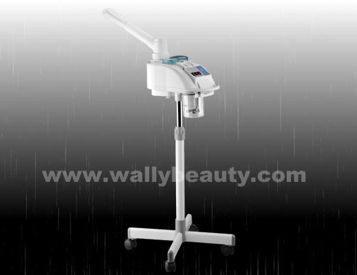 Cool & hot facial steamer