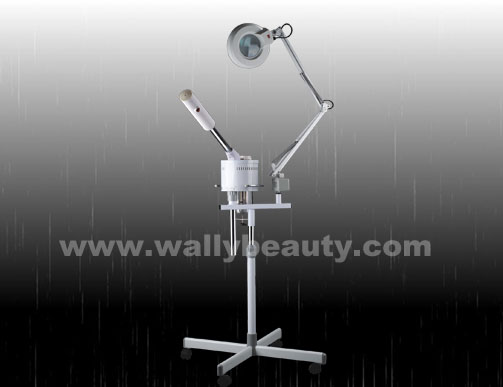 Facial steamer with magnifying lamp