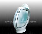 Sitting type steaming capsule