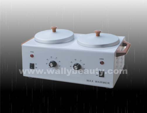 Double pot wax warmer