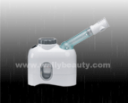 Portable facial steamer
