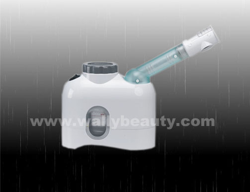 Portable facial steamer