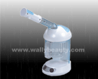 Portable facial steamer