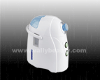 Portable facial steamer