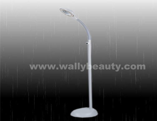 Magnifying lamp