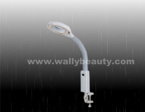 Magnifying lamp