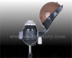 Hair steamer