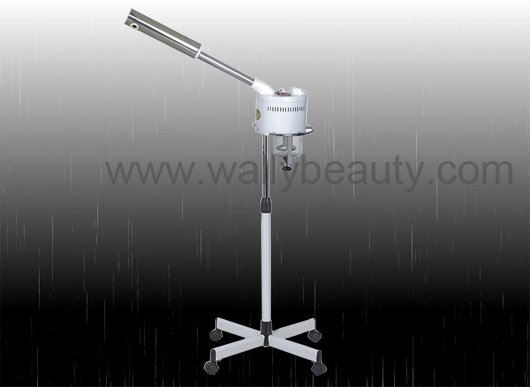 Ion facial steamer