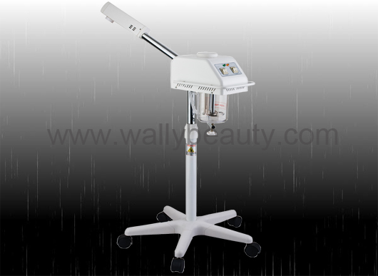 Professional salon facial steamer