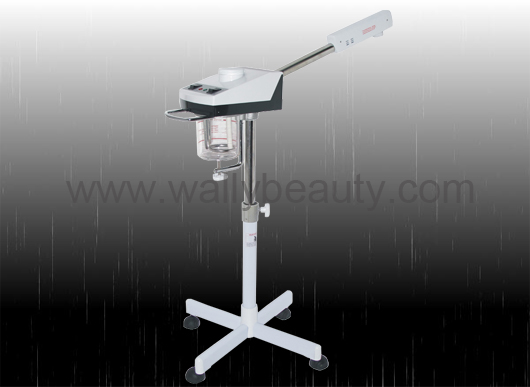 Professional hot facial vaporizer