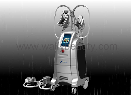 4 handles Lipo Cryotherapy Fat Freezing Slimming Machine
