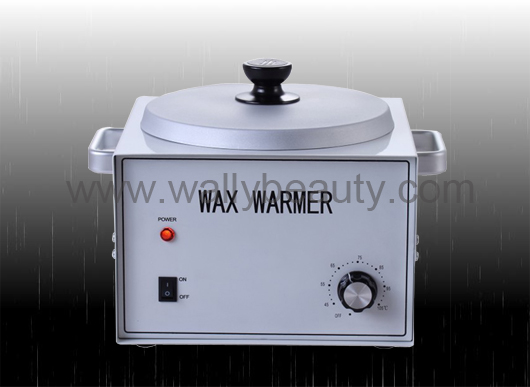 Single wax warmer